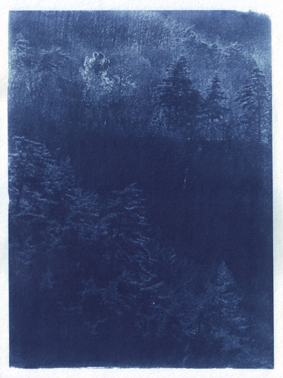 Cyanotype_Sans titre_2017_MG_5975.jpg en taille normale